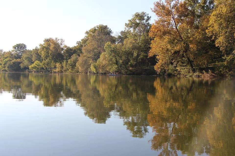 The Colorado River in fall, trees reflected in still water